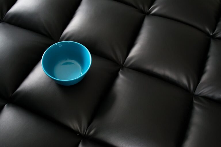 Clean My Leather Sofa in Home Counties