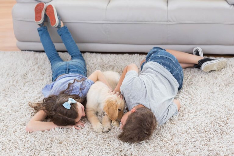 Carpet upholstery cleaning in Home Counties