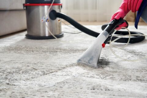 Hygienic Cleaning of Carpets & Furnishings