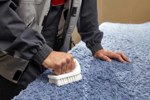 Home Counties Carpet Cleaning Experts