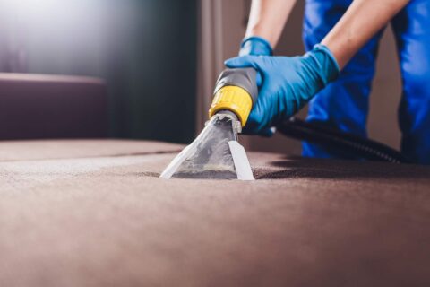 Carpet & Upholstery Cleaning Experts